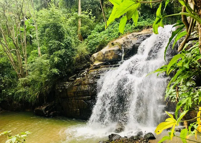 River Splendour Home Stay