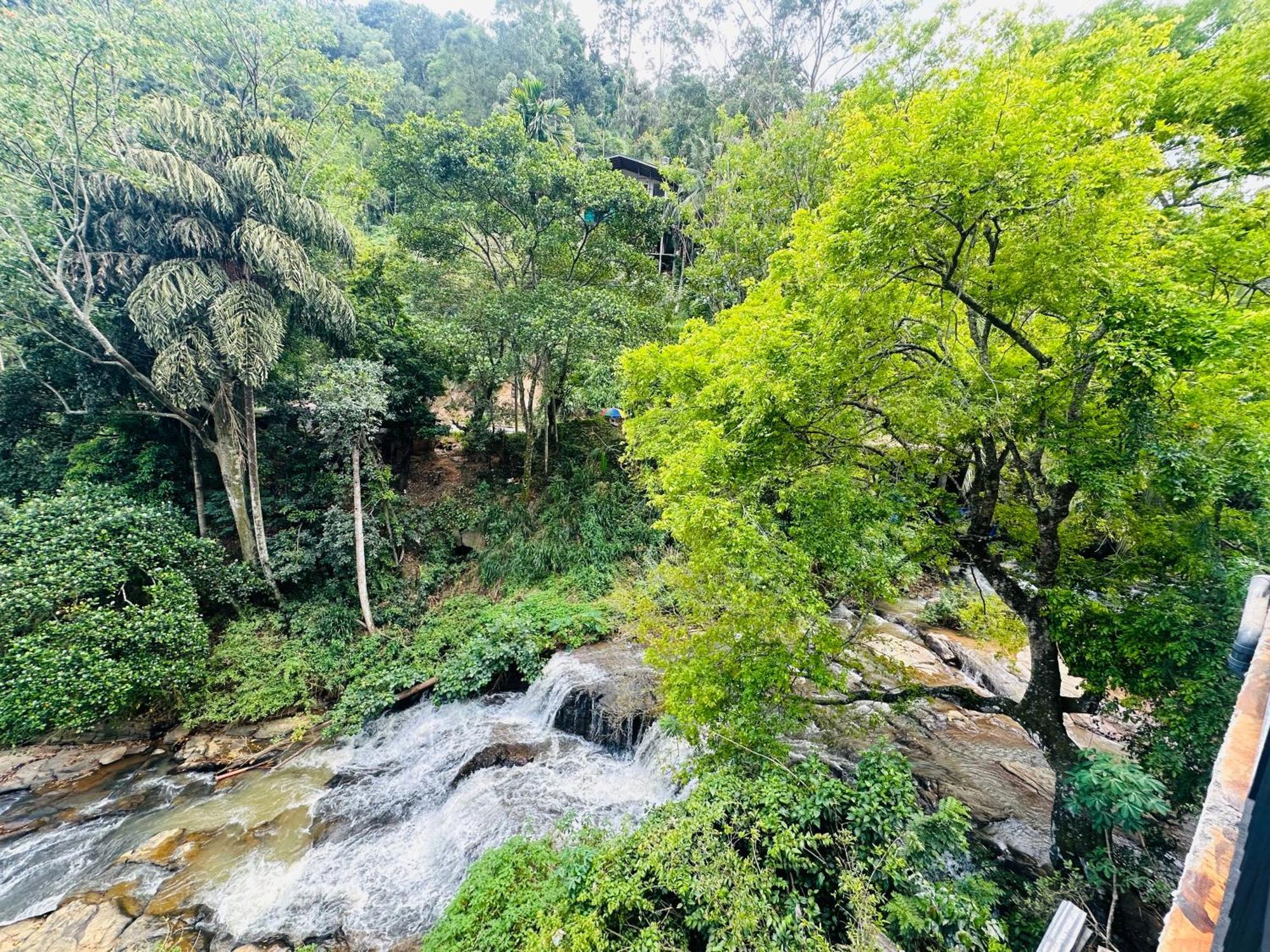 River Splendour *