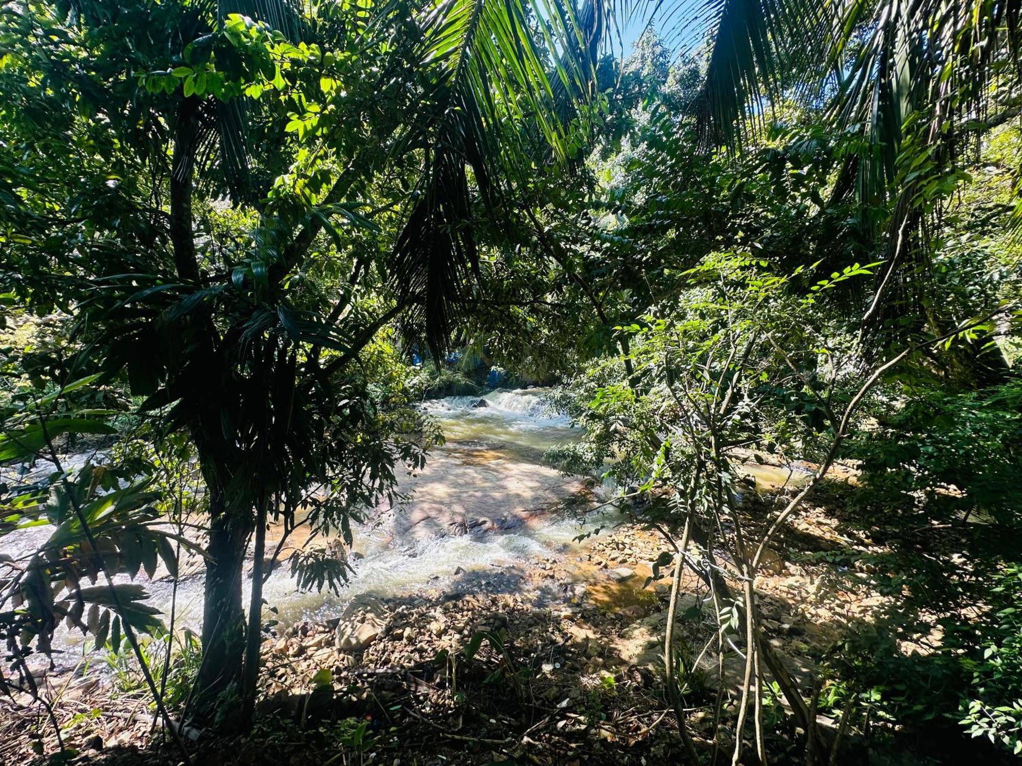 River Splendour Ella