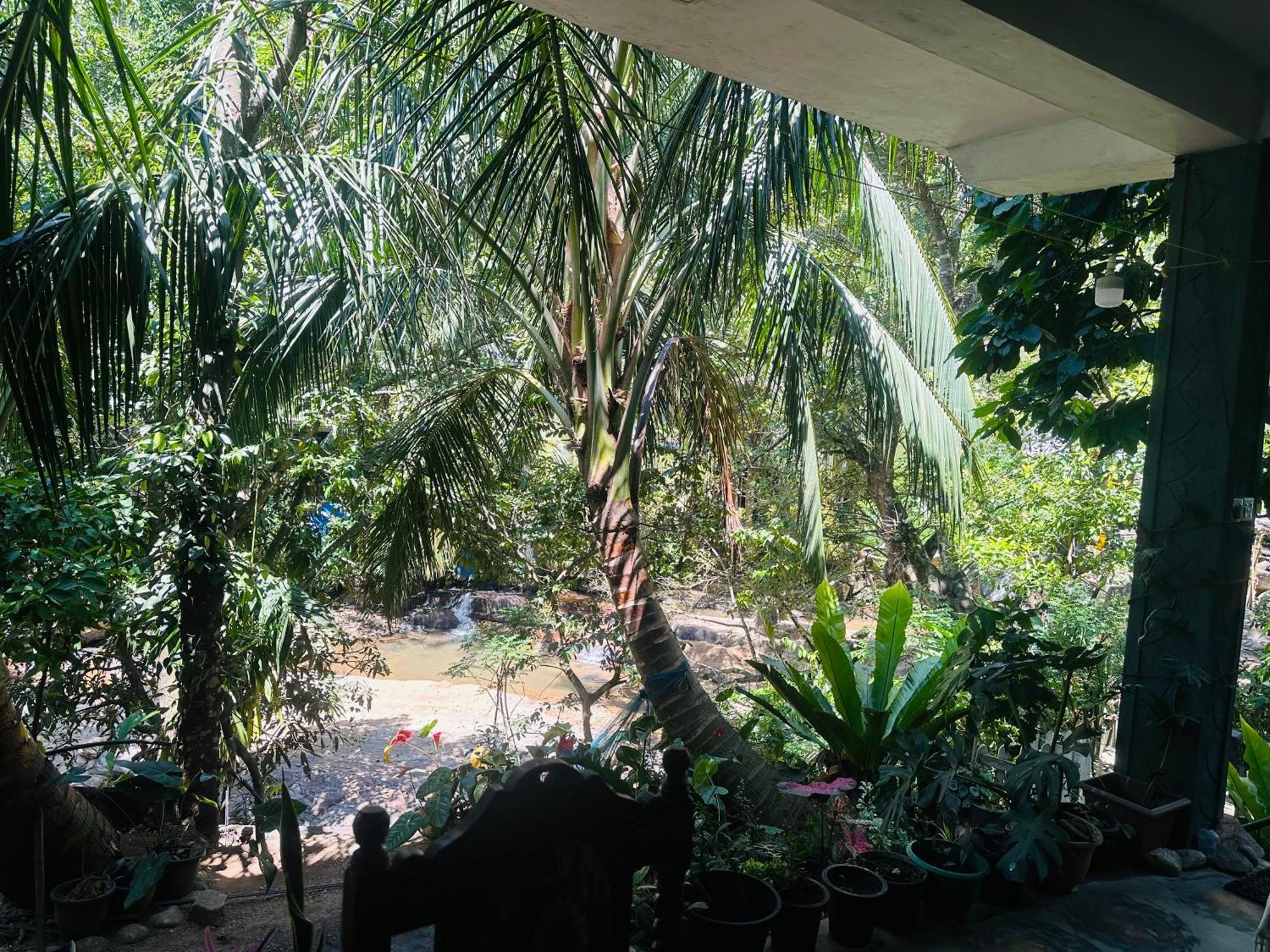 River Splendour Bed & Breakfast