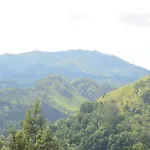 Chill Wood Homestay Ella
