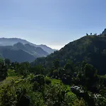 Mount Shadows