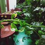 Elegant Home Stay