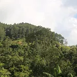 Misty Mount Resort