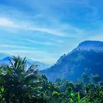 Nest Of Peak