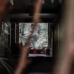 Magnet