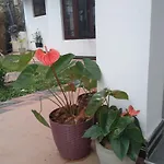 Holly House Homestay