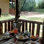 Saffron Eco Cottage