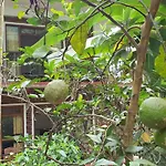 Eco Zone Resort