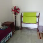 Silent Nest