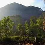 Ceylon Rich Leaves Ella