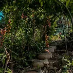Secret Mountain Paradise