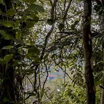 Secret Mountain Paradise