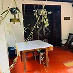 Little Cottage