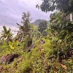 Nature Green Hotels On Rock Home Ella