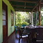 Blue Night Homestay