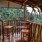 Lamiaceae Wood Cabin