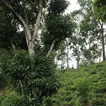 Rustle Hill Home Stay-Ella