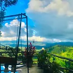 Shining Green View