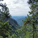 Dream View