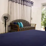 Ella Walkers Nest