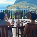Golden View Guest