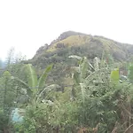 Chamodya Home Stay