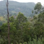 Racy Nature Cottage