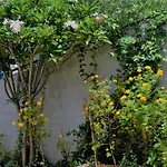 Bellaxy Ceylon