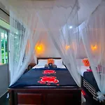 The Bliss Homestay