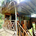 The Winsome & Tree House