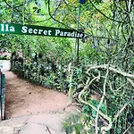 Ella Secret Paradise