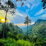 Natur\'S Grove