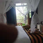 New Green View Resort