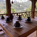 Ella Treehouse