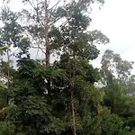 Apurvi Homestay