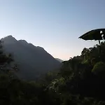 Ella Lucky Panoramic