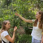 Ella Nine Arch Spice Garden