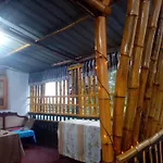 Ask Homestay