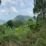 Saveen View Ella