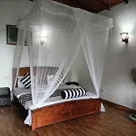 Divine View Homestay