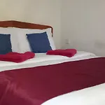 Dream Nest