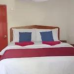 Dream Nest