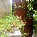 Ella Delightful Surround Homestay