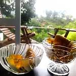 Ella Delightful Surround Homestay