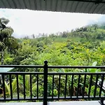 Tea Pick View Ella