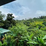 Tea Pick View Ella