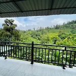 Tea Pick View Ella