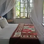 The Horizon Root Inn