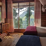 Ella Nature Shade